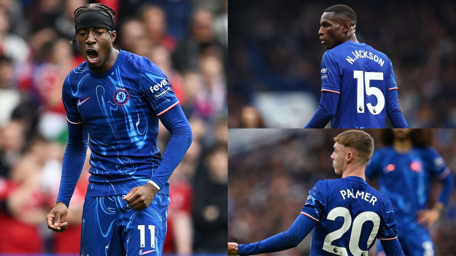 分析马奎尔 分析马奎尔